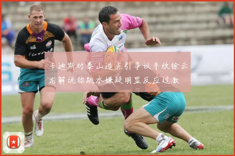 卡迪斯对泰山造点引争议李欣徐云龙解说称跳水嫌疑明显反应过激