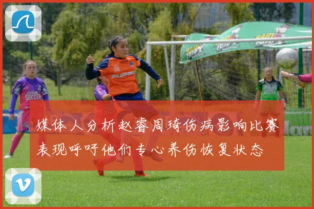 媒体人分析赵睿周琦伤病影响比赛表现呼吁他们专心养伤恢复状态